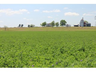 Property photo 20 - LAND AUCTION - 1,371+/- ACRES OFFERED IN 25 TRACTS IN GOLDSBY, OKLAHOMA